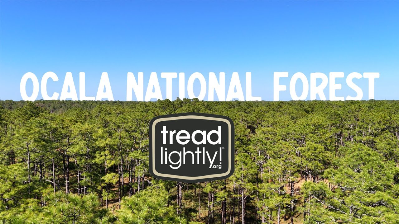 Tread Lightly Trail | Ocala National Forest | Florida's Best offroading