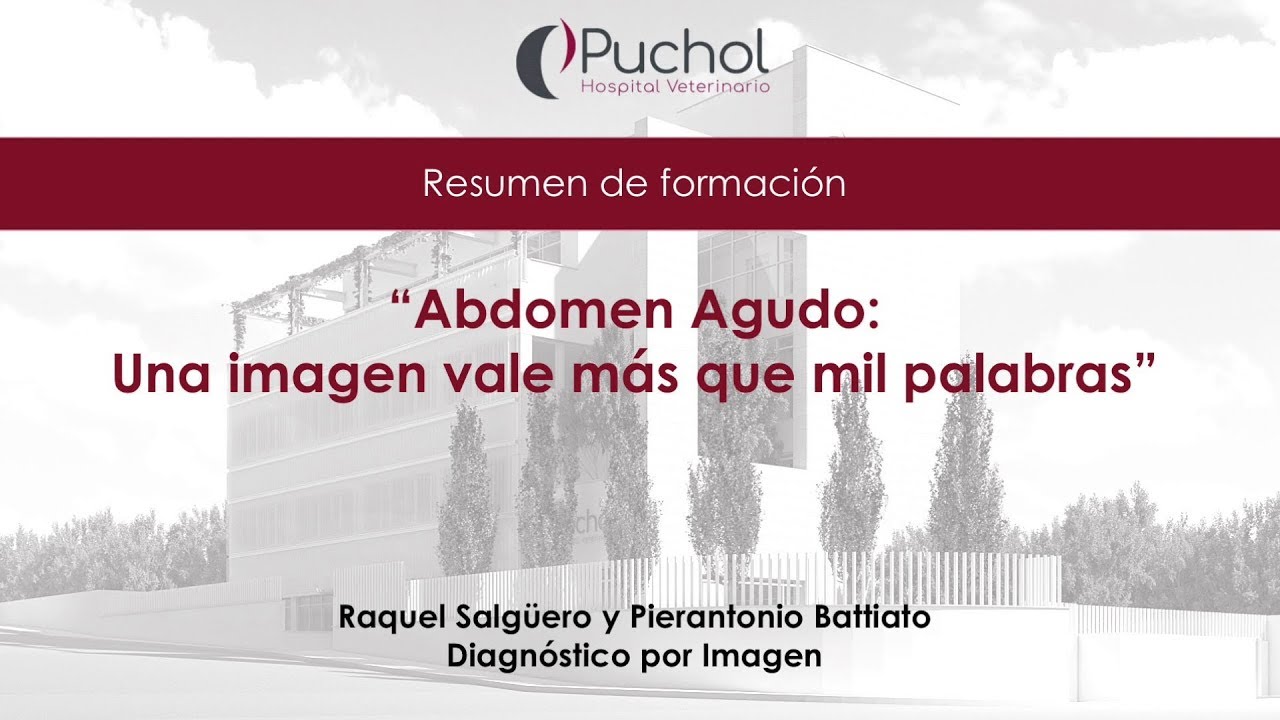 Diagnóstico por Imagen: Abdomen agudo en veterinaria | Resumen de Conferencia | HVP