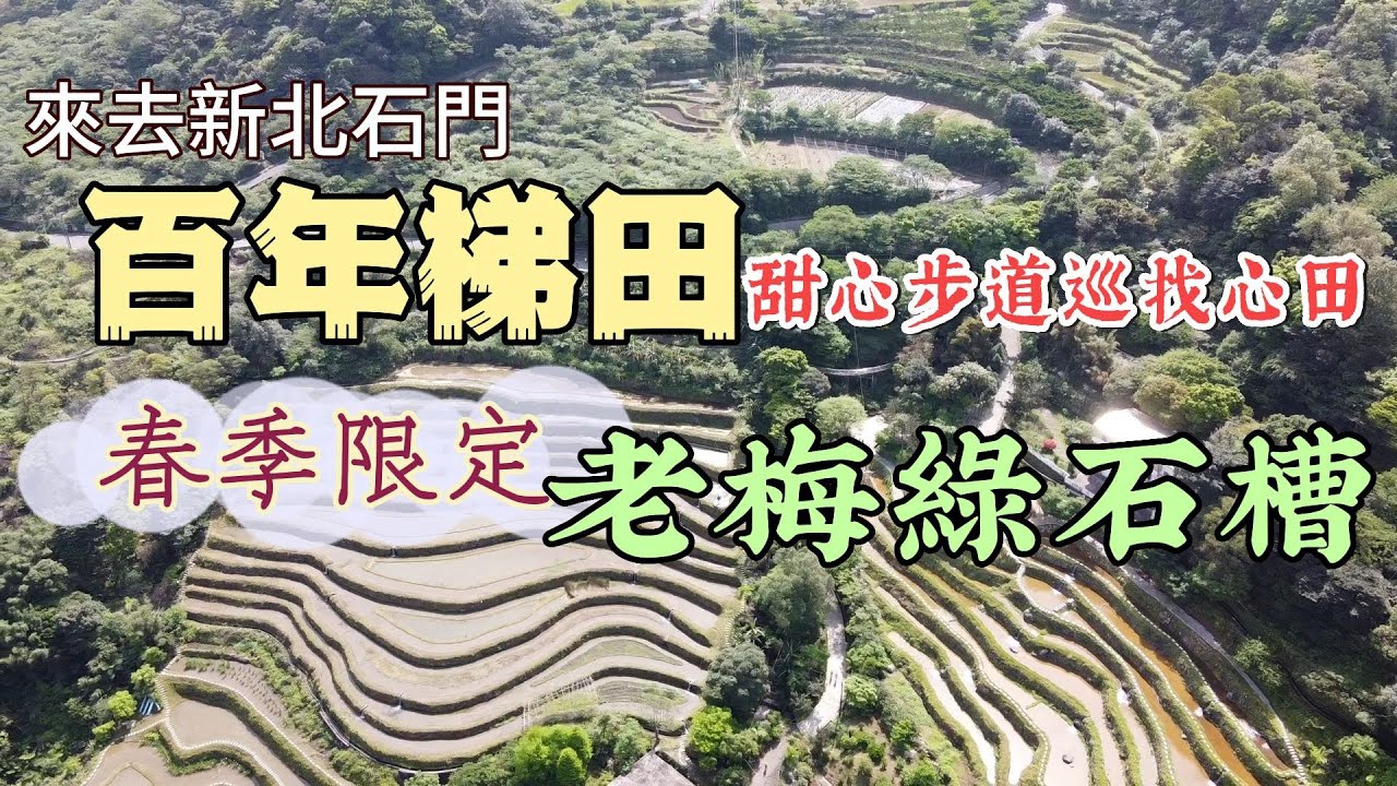 【新北石門】春遊北海岸 - 石門嵩山百年梯田  ｜ 