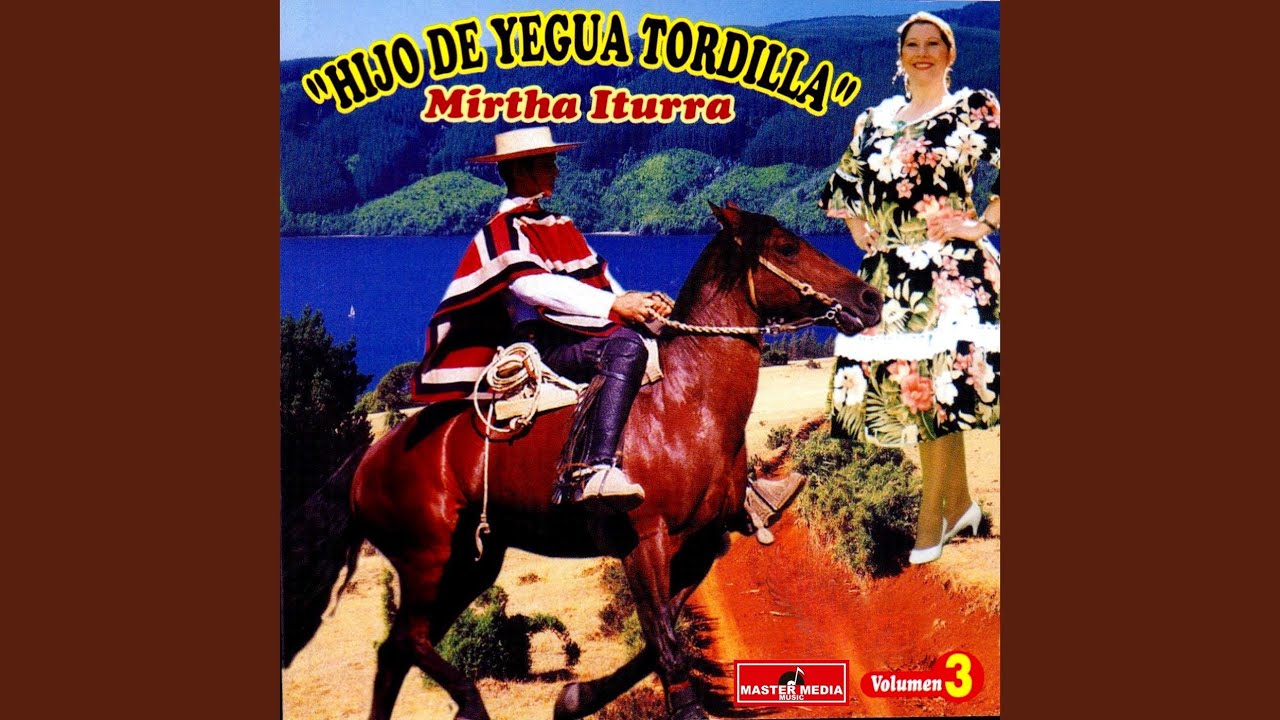 Hijo de Yegua Tordilla