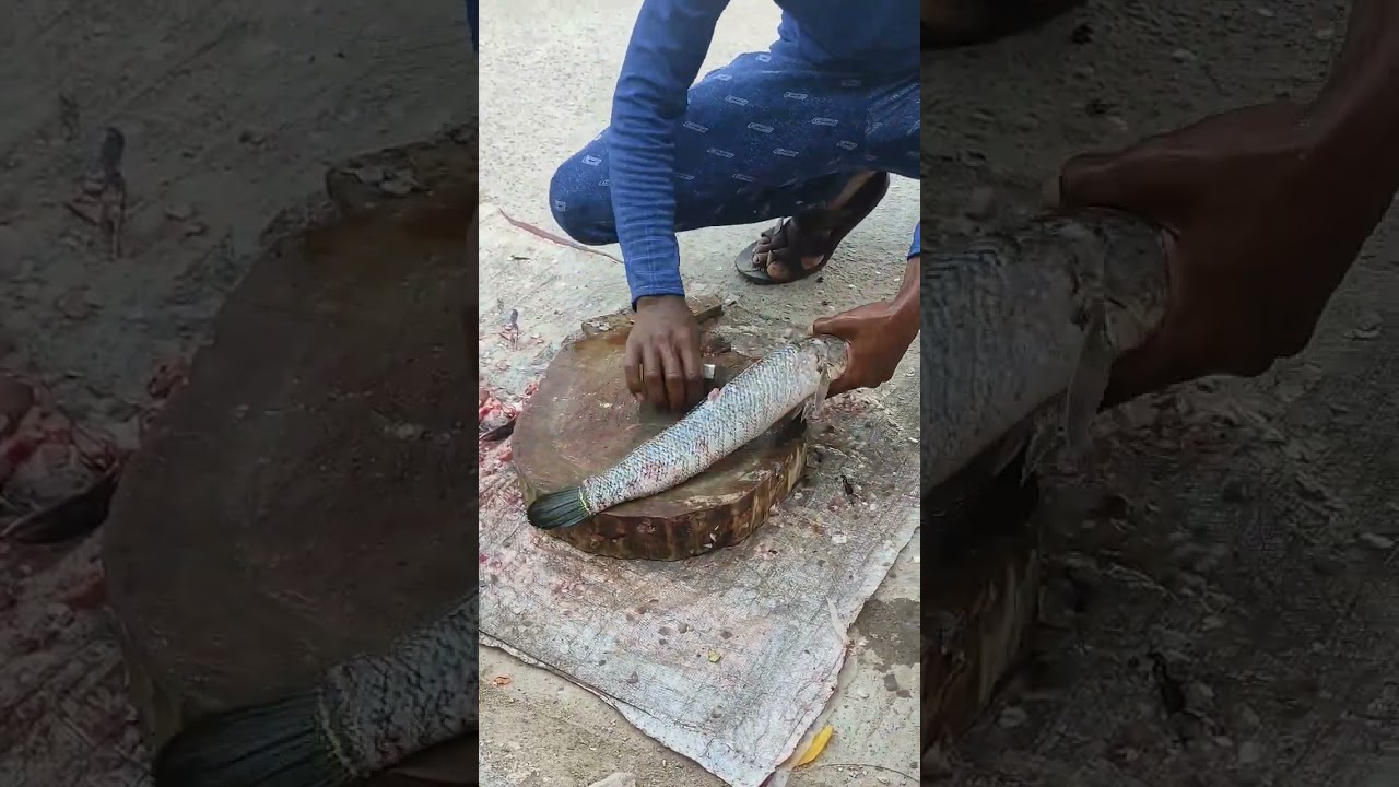 #snakeheadfish #fishcutting #korameenu #live #food #viral #like #shortsfeed #trending #shorts #sub