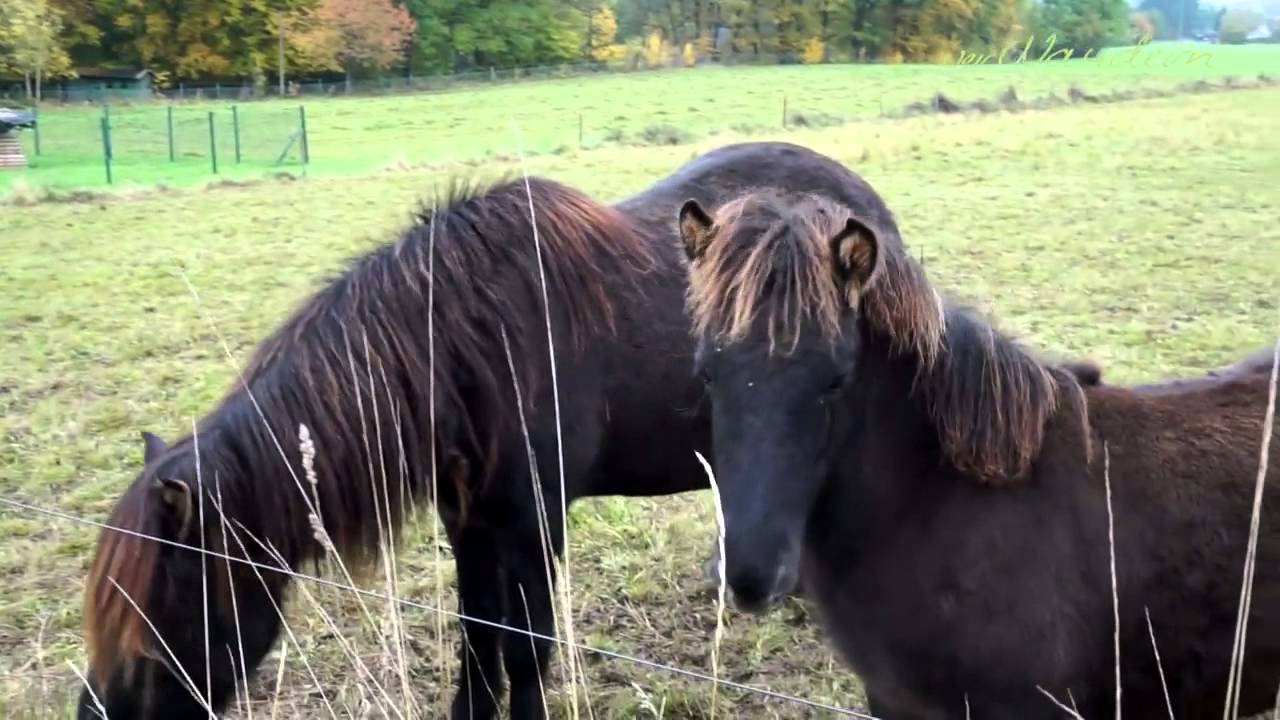 Rundweg bei Westerburg über den Westerwaldsteig