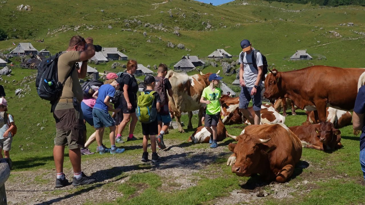 Turizem na Veliki planini