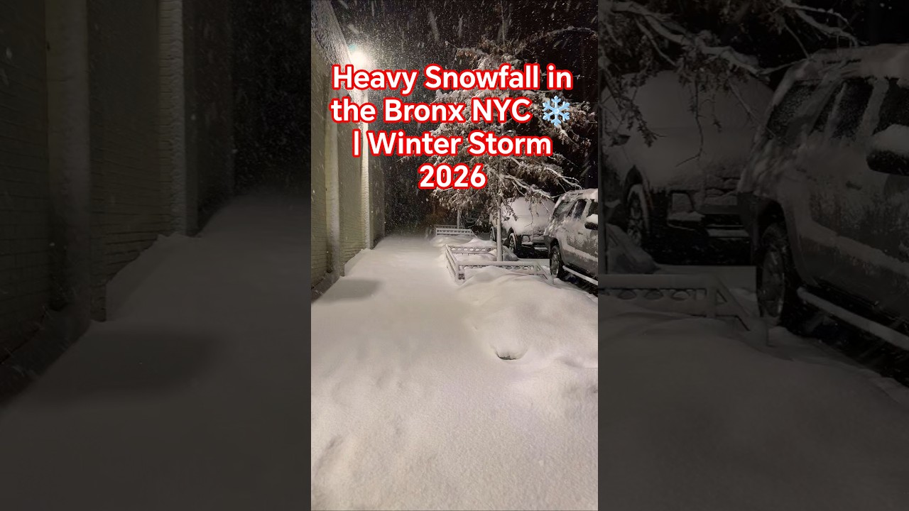 Heavy Snowfall in the Bronx NYC ❄️ | Winter Storm 2026 #snow #strom #bronx