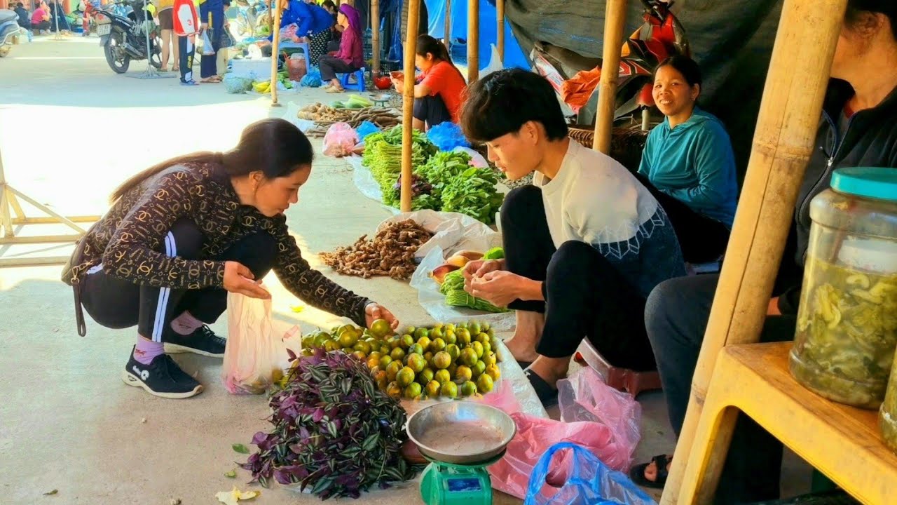 Harvest wild vegetables, tangerines, go to the market to sell, daily life