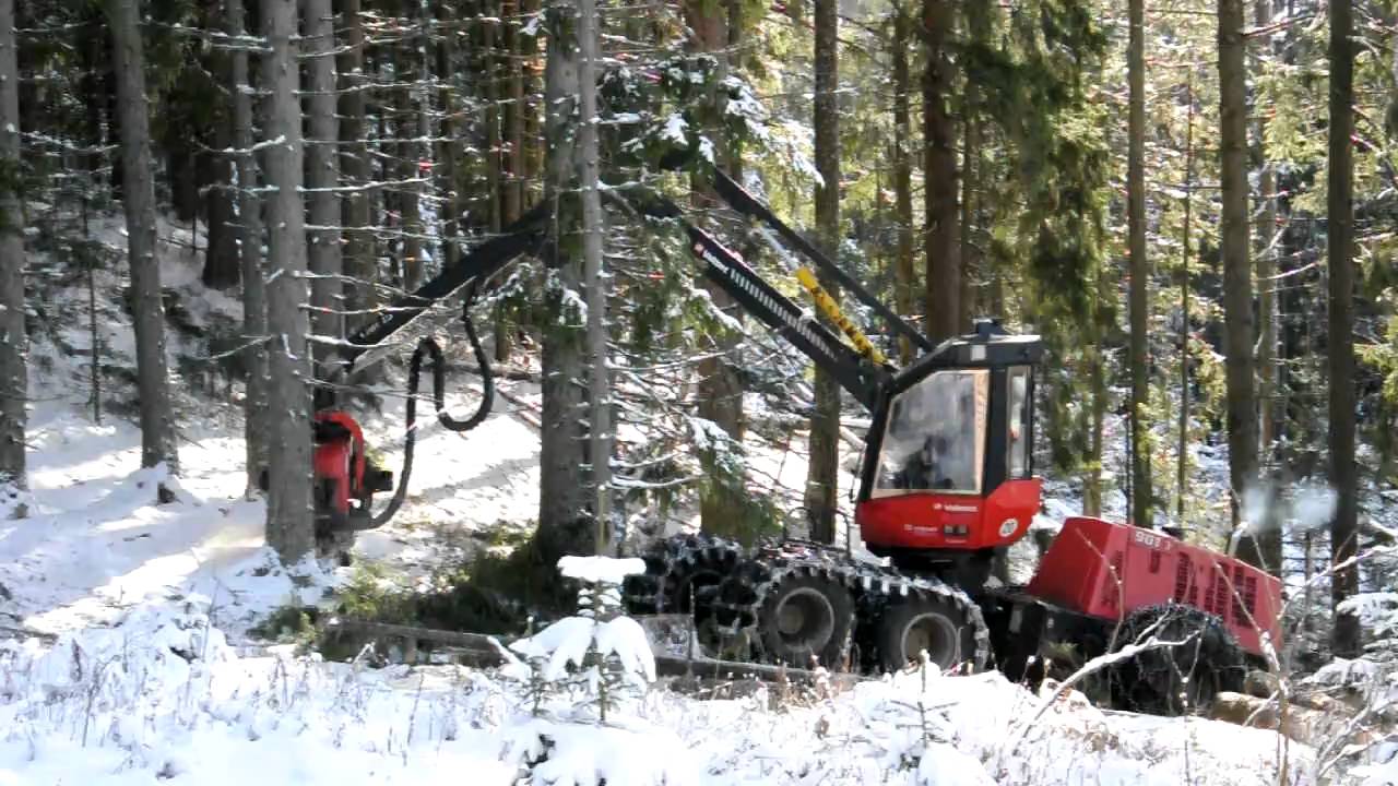Valmet 901.3  Durchforstung