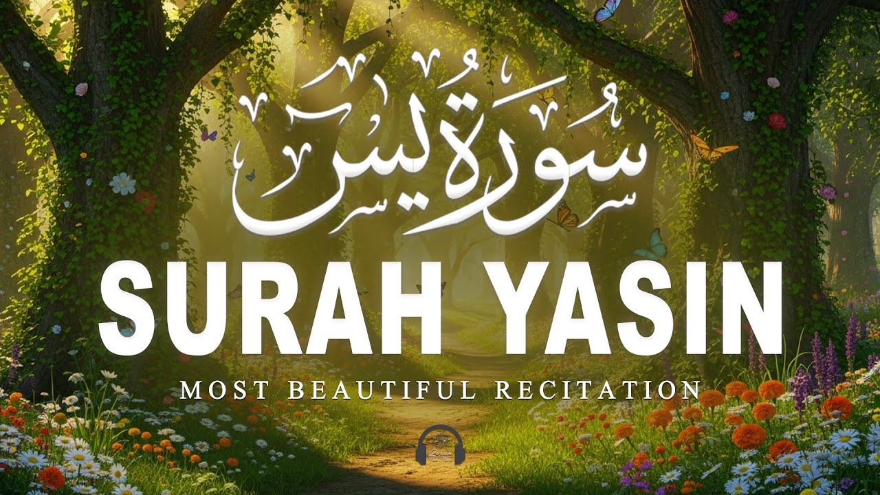 Surah Yaseen سورة يس | Soothing & Beautiful Recitation for Inner Peace by Alaa Aqel Quran for Sleep