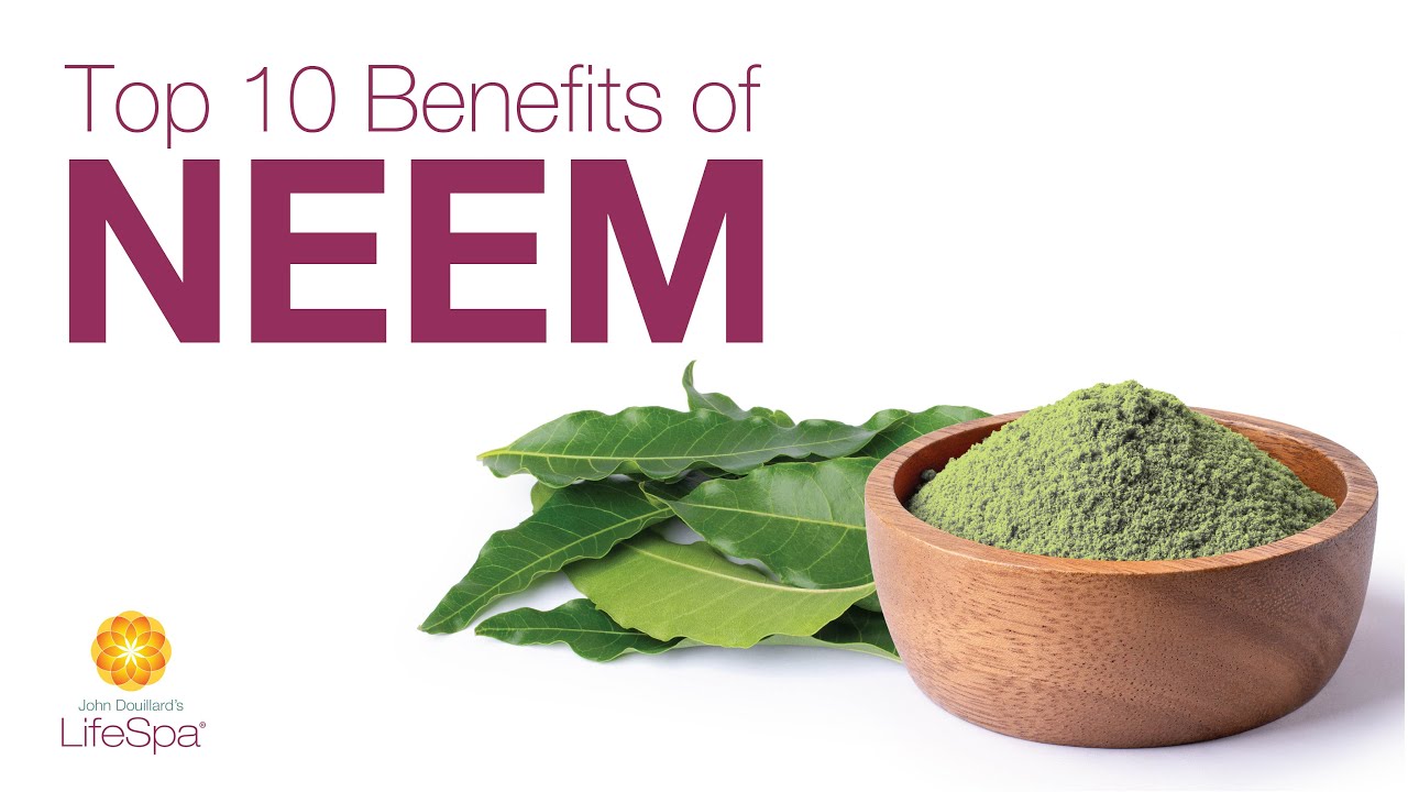 Top 10 Benefits of Neem, Ayurveda's 'Queen of Skin' | Dr. John Douillard's LifeSpa