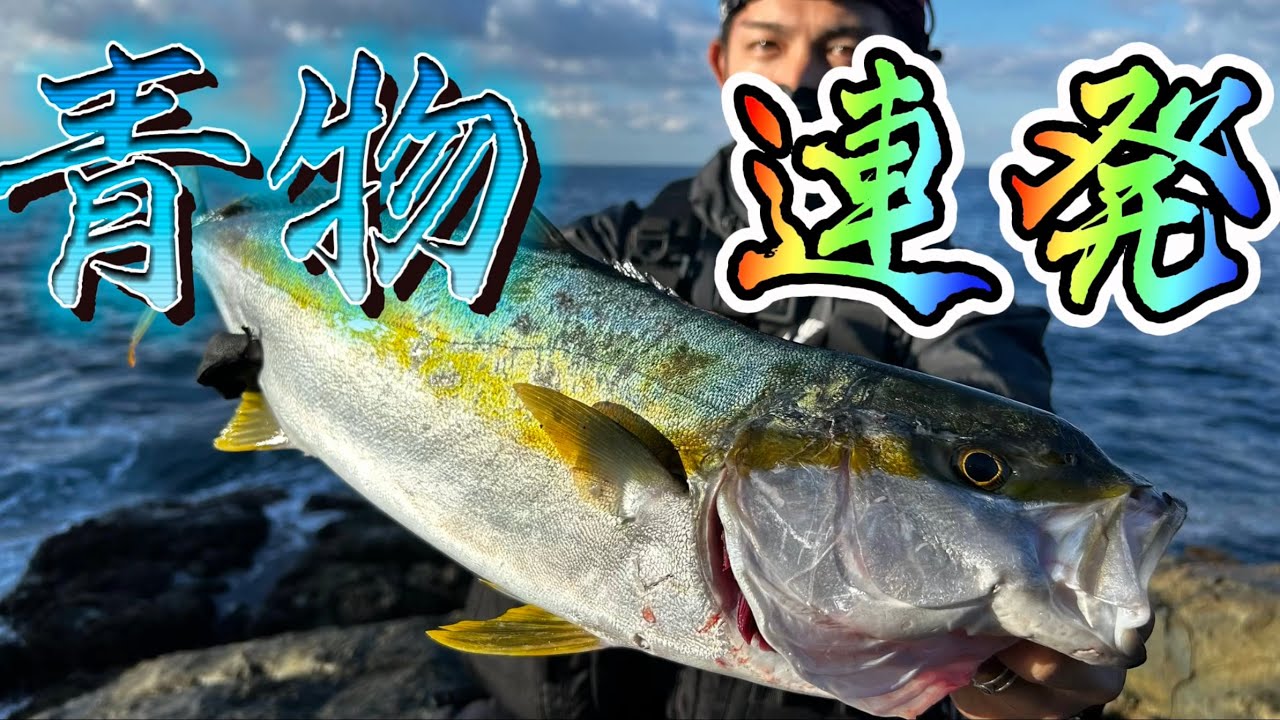 【青物爆釣！！！】　バイト数約20回！　ハイシーズンのヒラマサ釣り