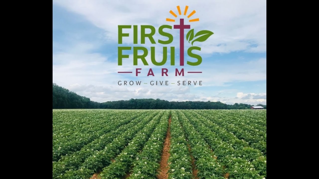 First Fruits Farm - Growing More, Giving More, Serving More