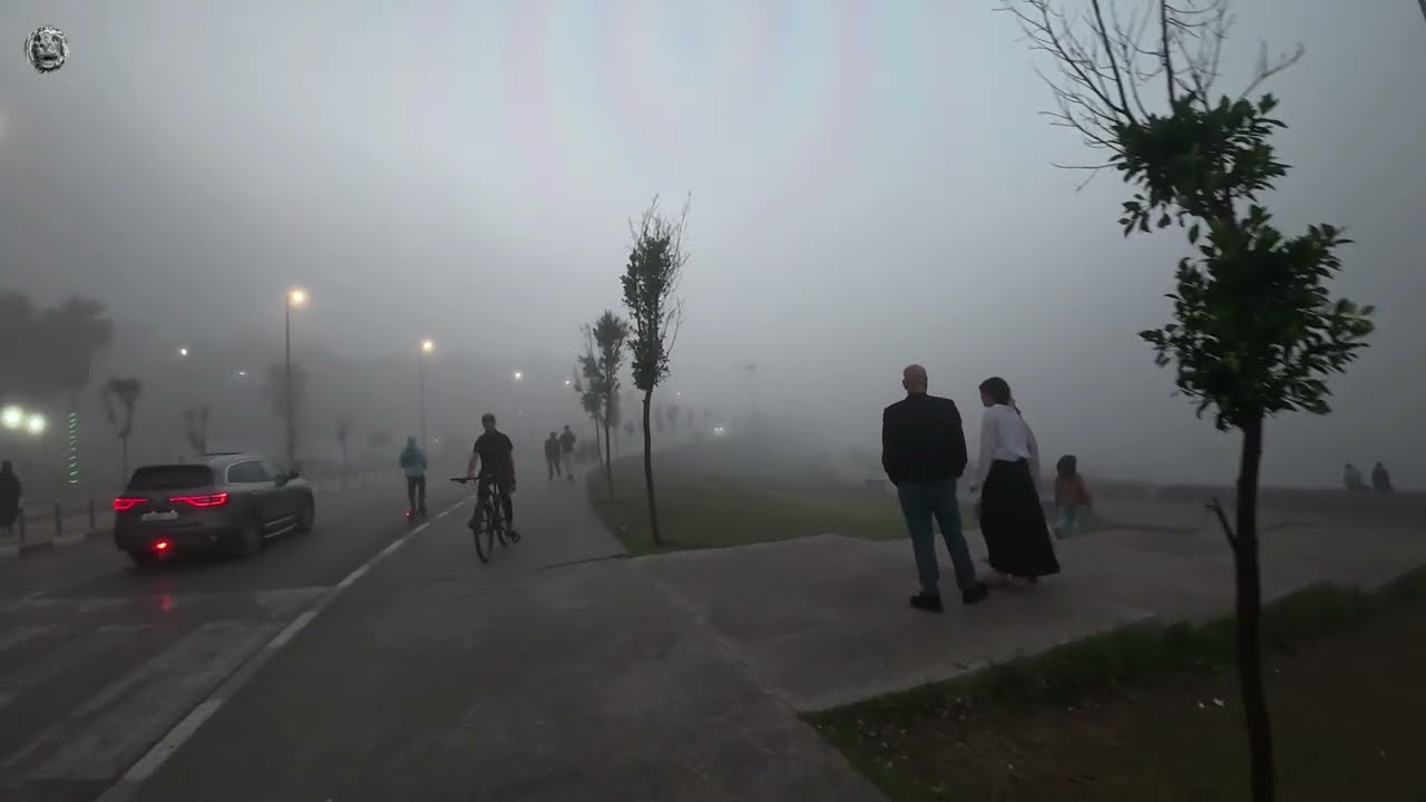 LARACHE Y LA NIEBLA