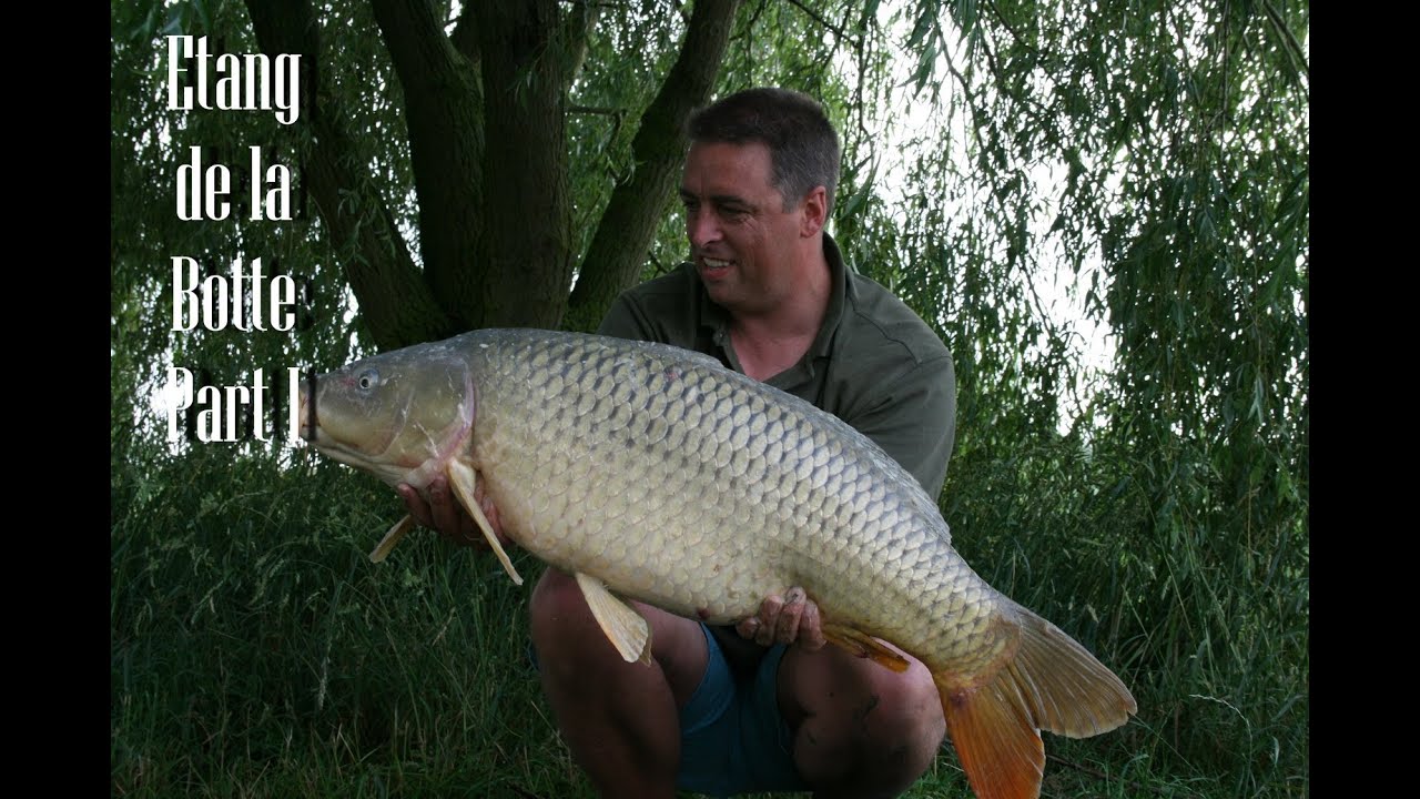 Karpervissen op Etang de la Botte (part 1)
