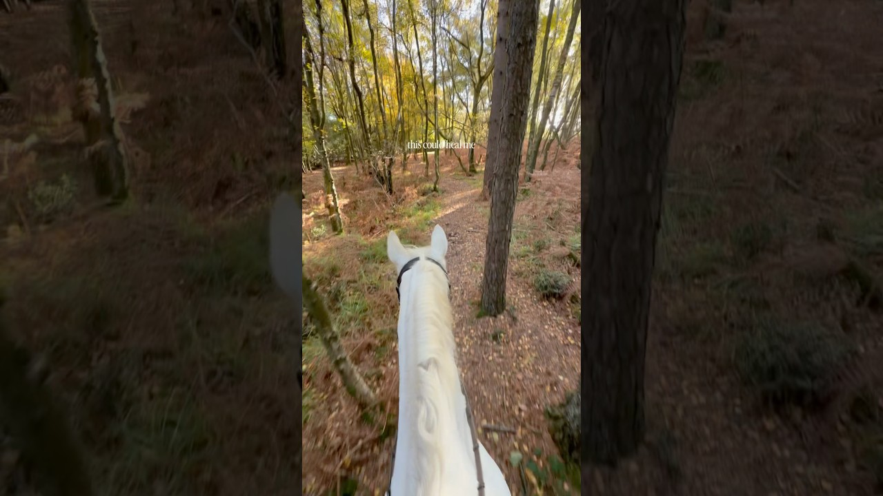 This could heal me&hellip;