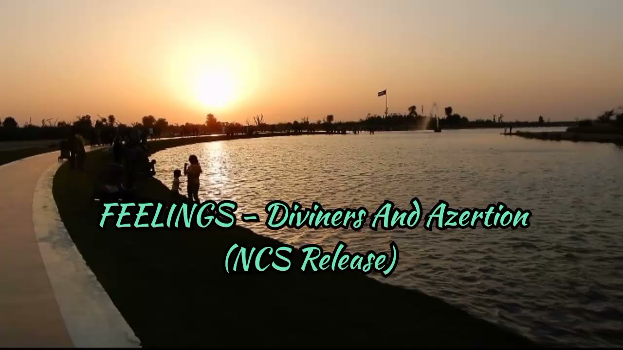 Feelings - Diviners and Azertion ( NCS Release )