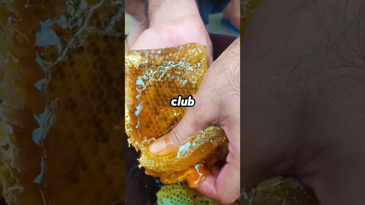 My parents demanded I should do 50% of all Chores, but they didn&rsquo;t expect that to backfire on them.