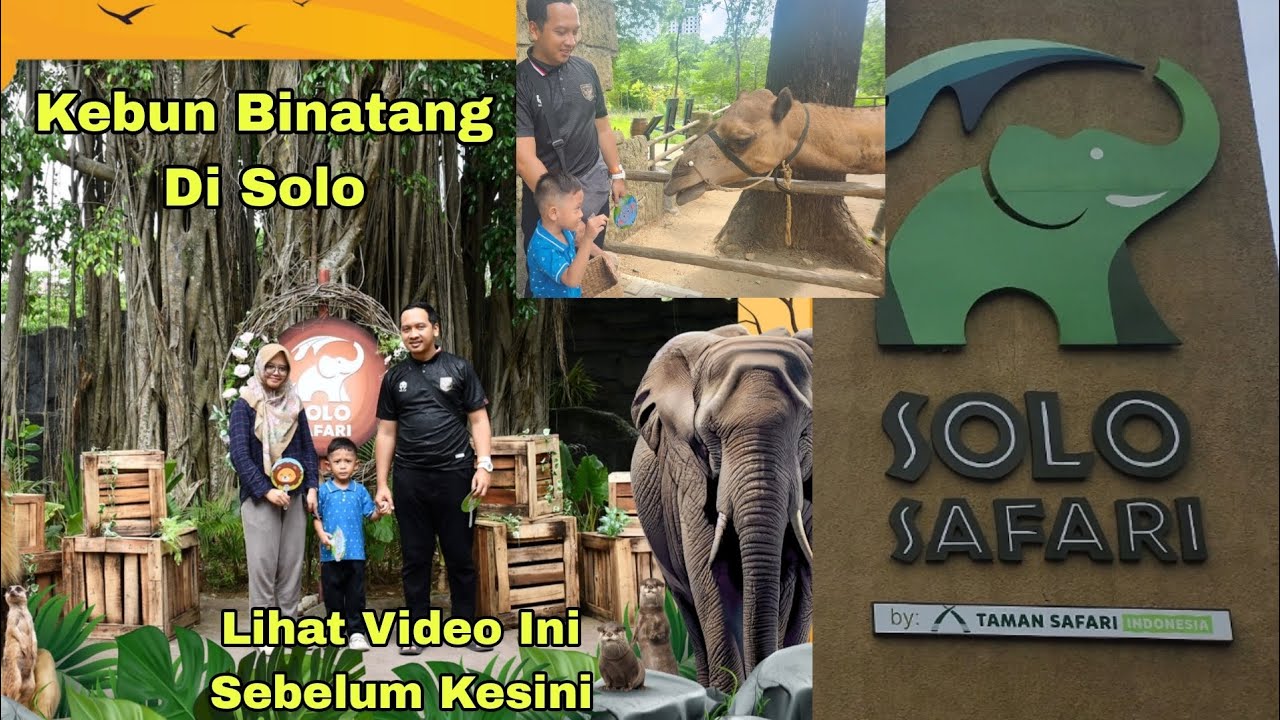 Review Tamasya Kebun Binatang Solo. Safari Solo. Bagus Gak Ya?