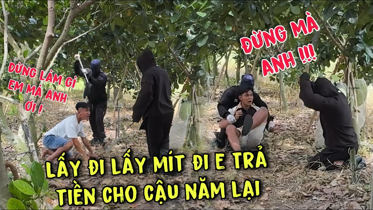 TNB -Phát Hiện Hai Thanh Niên Bịt Mặt Nghi Là Trộm Trong Vườn Mít Của Cậu Năm