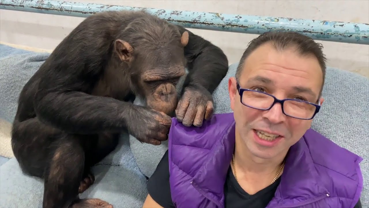 Пример как меня понимает обезьяна Боня | Дан Запашный и ночная сварка