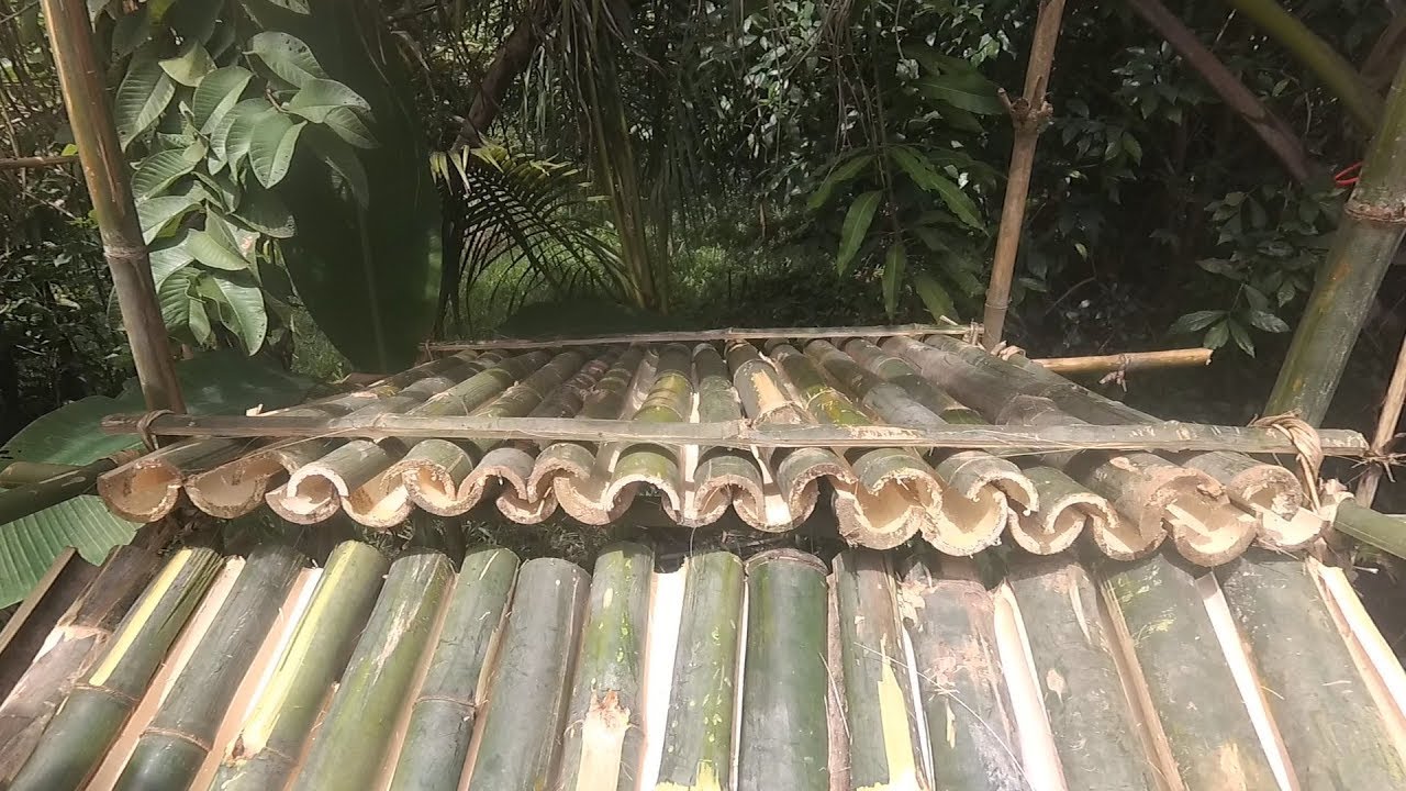 Primitive Technology: Bamboo roof shelter