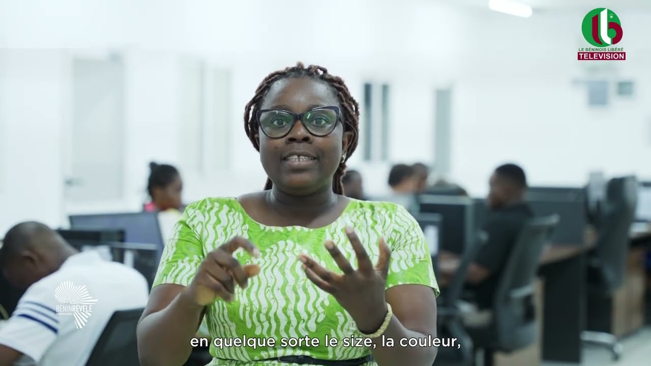 GDIZ  LES PRÉMICES DE L'INDUSTRIALISATION AU BÉNIN