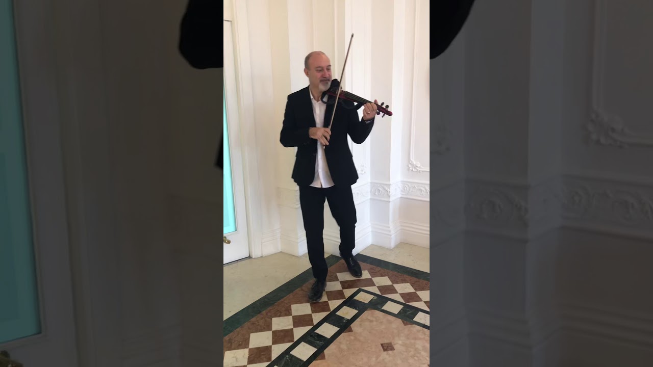 TONES AND I - DANCE MONKEY (F.D. violin version)