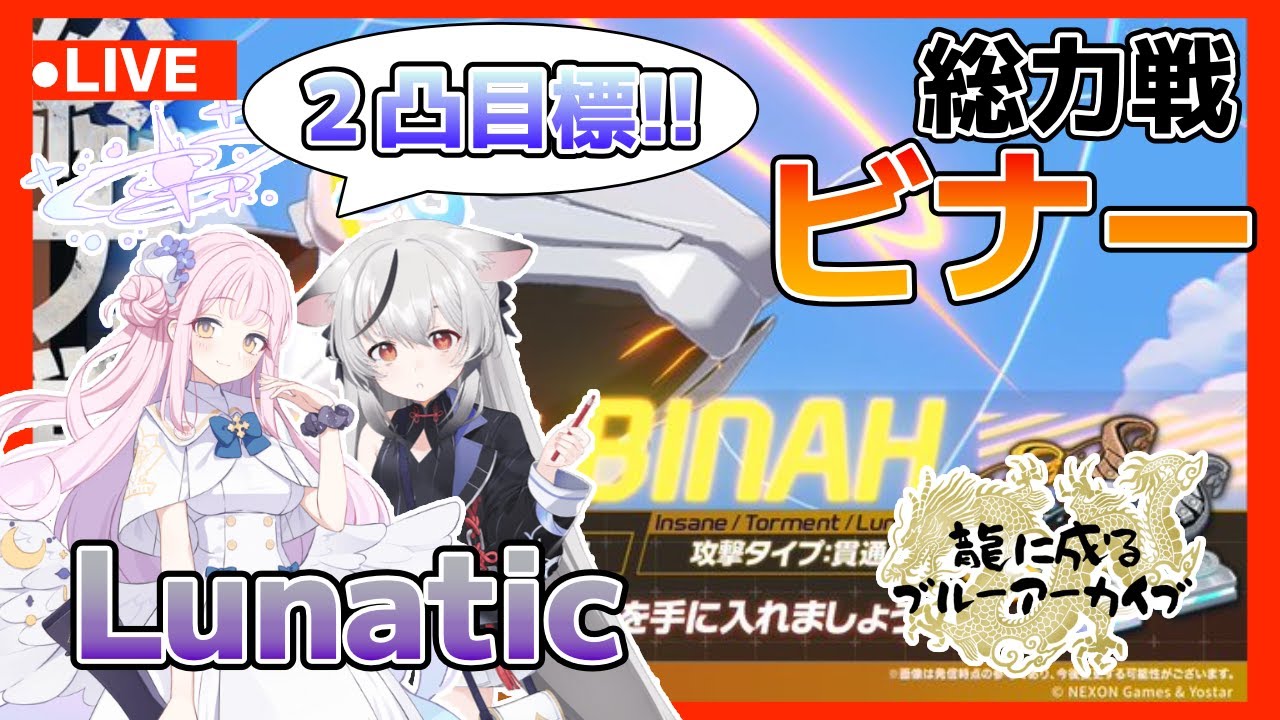 龍に成るブルーアーカイブ【総力戦】ビナーLuna！！53挑戦！！！