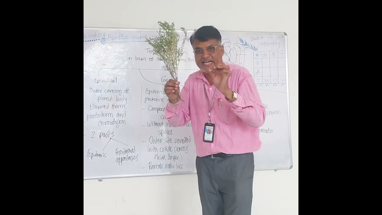 Epidermal tissue system 11 biology CBSE &State Board 
