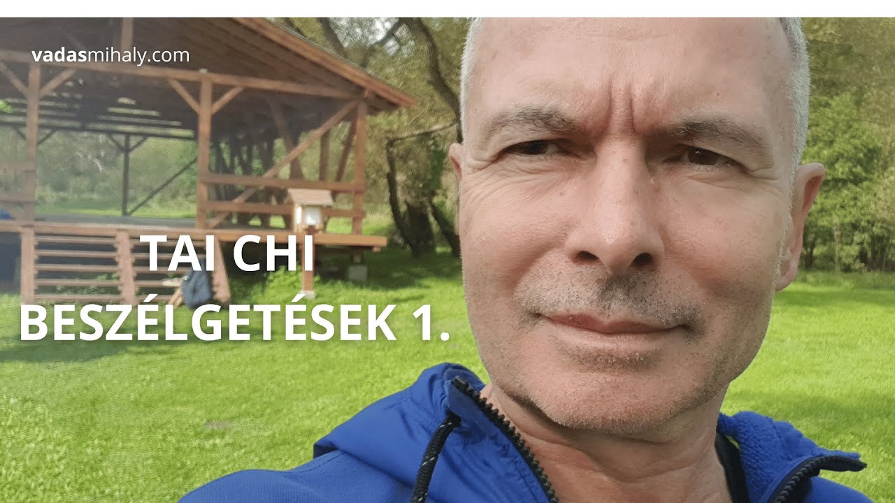 Tai Chi beszélgetések 1.