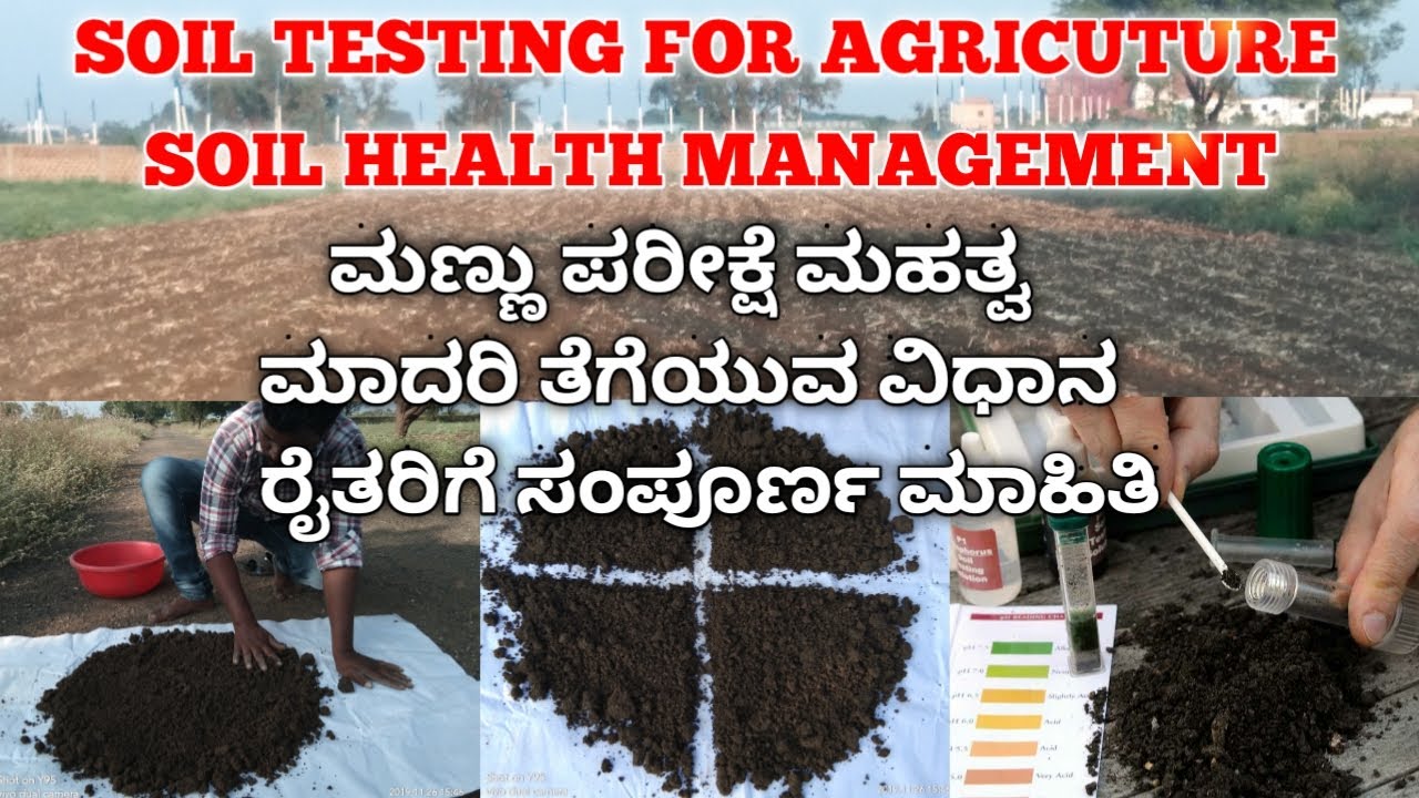 Soil testing for agriculture || soil Health Management || ಮಣ್ಣು ಪರೀಕ್ಷೆ ಮಹತ್ವ || kvk kalaburgi ||