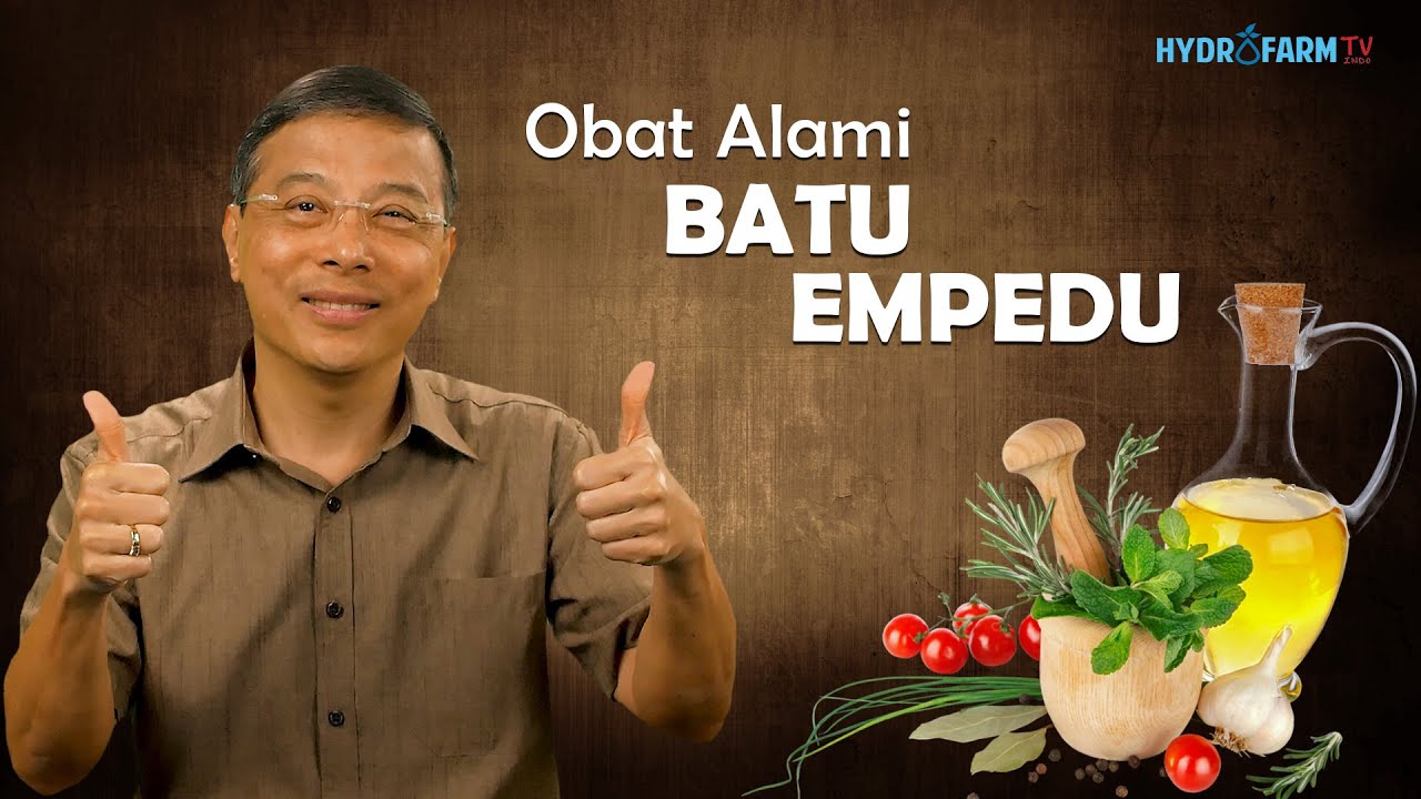Obat Alami BATU EMPEDU !!