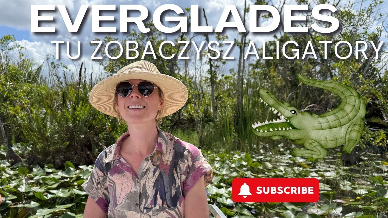 FLORYDA o kt&oacute;rej NIE WIEDZIAŁEŚ! 🤯 Everglades &ndash; Prawdziwe Dzikie Serce Ameryki 🐊