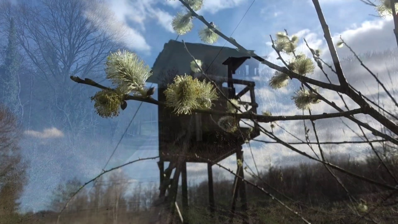 Waldwege Harterscheid