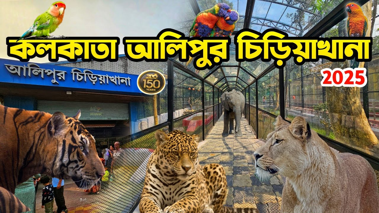 Alipore Zoo Kolkata | কলকাতা আলিপুর চিড়িয়াখানা | Kolkata Zoological Garden |Alipore Zoo Tour Guide