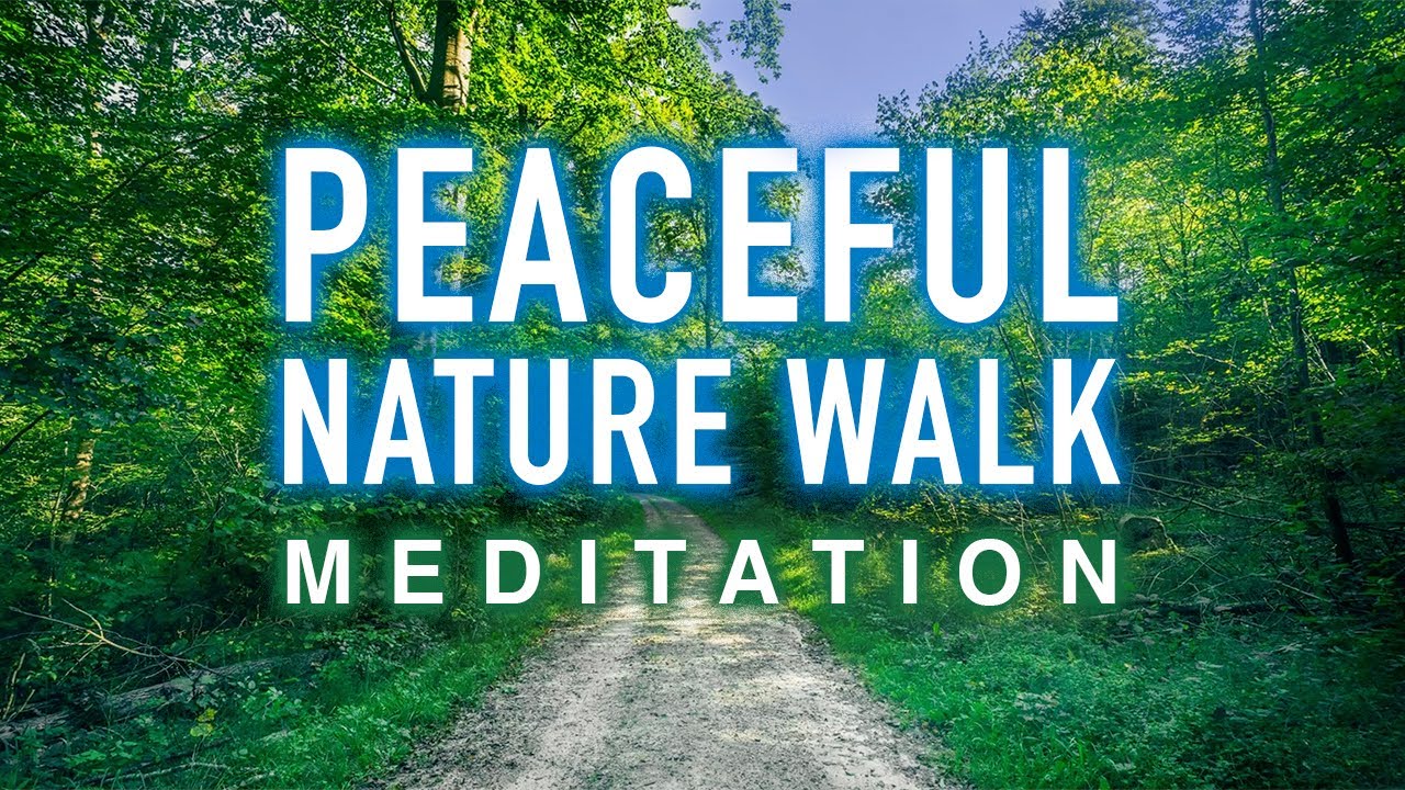 Guided Mindfulness Meditation - Peaceful Nature Walk (Nature Sounds and Voice Only)