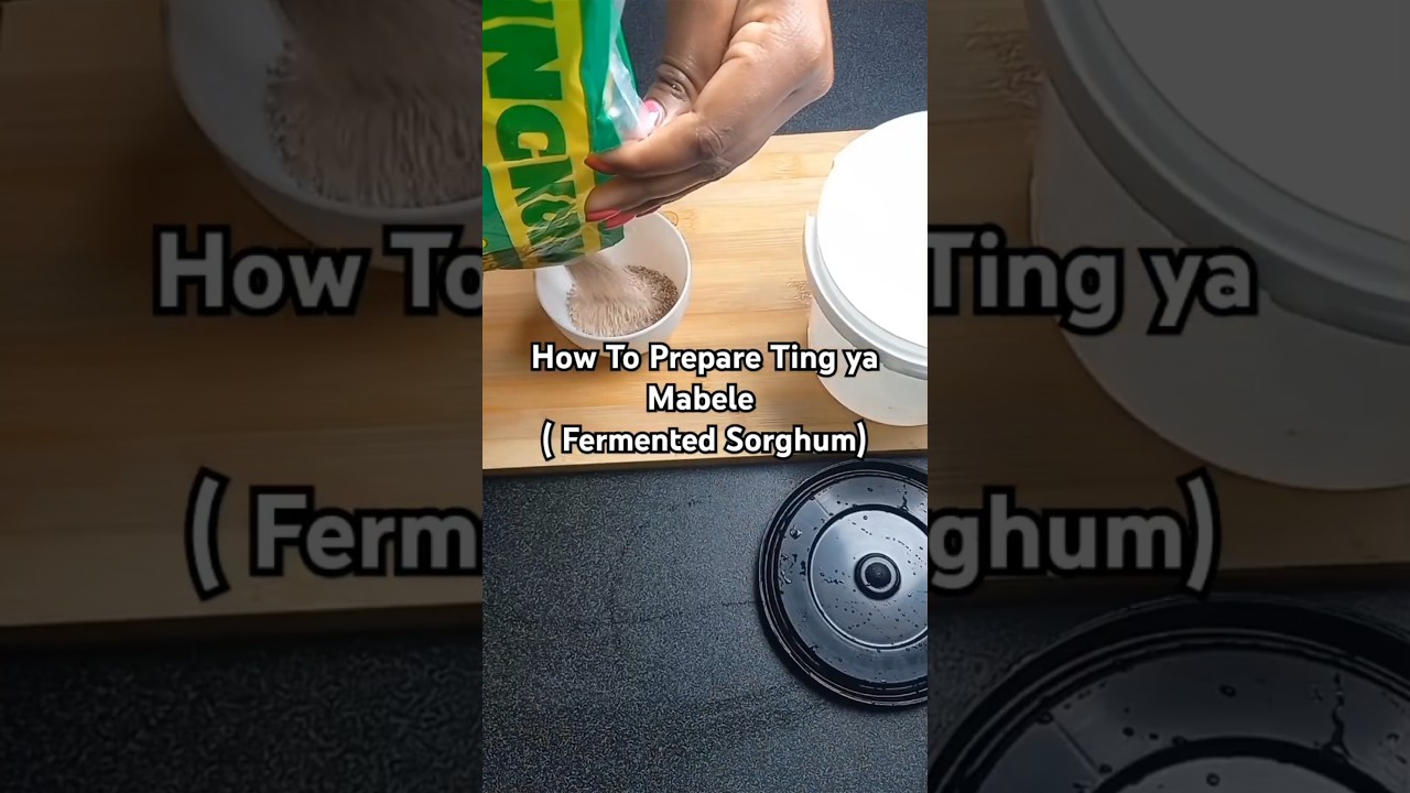 Fermented Sorghum is great gut health #sorghum #sorgo #jowar #ancientgrains #glutenfree  #guthealth