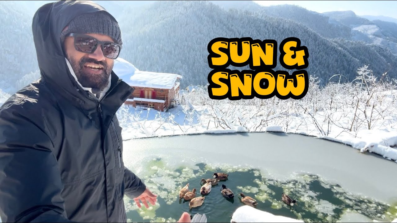 A Sunny Snowy Morning | The Farm in  Warm Winter Light