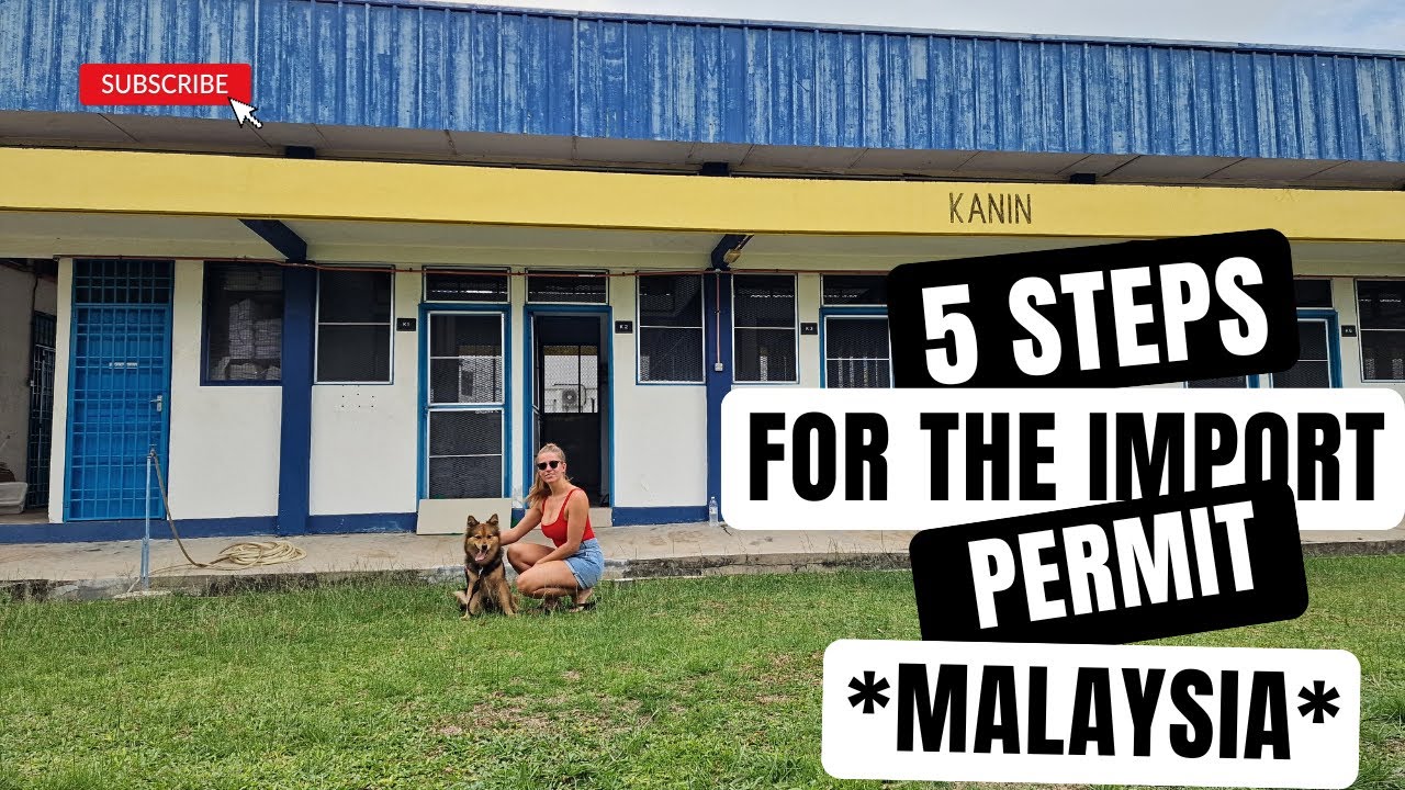 Import Pet To Malaysia (A Complete Guide in 5 easy steps for your Dog or Cat)