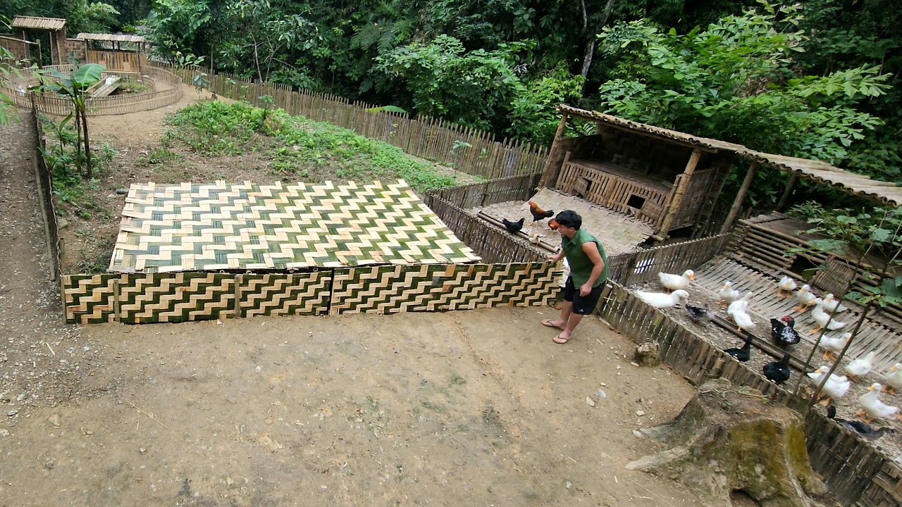 How To Build Deck Bamboo, Cassava Drying Floor Farm Life - Ep.37