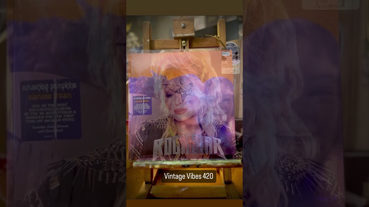 Video of the Day 