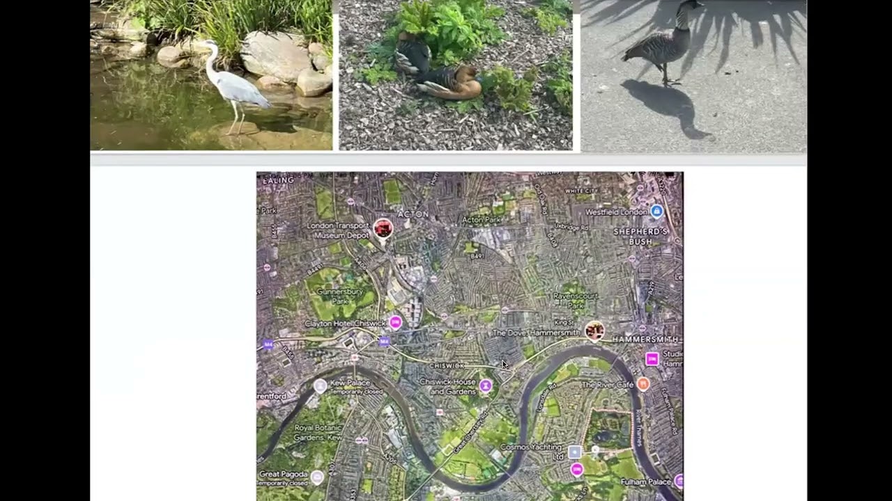 Kew gardens and others nearby - Suzanne Gauthier