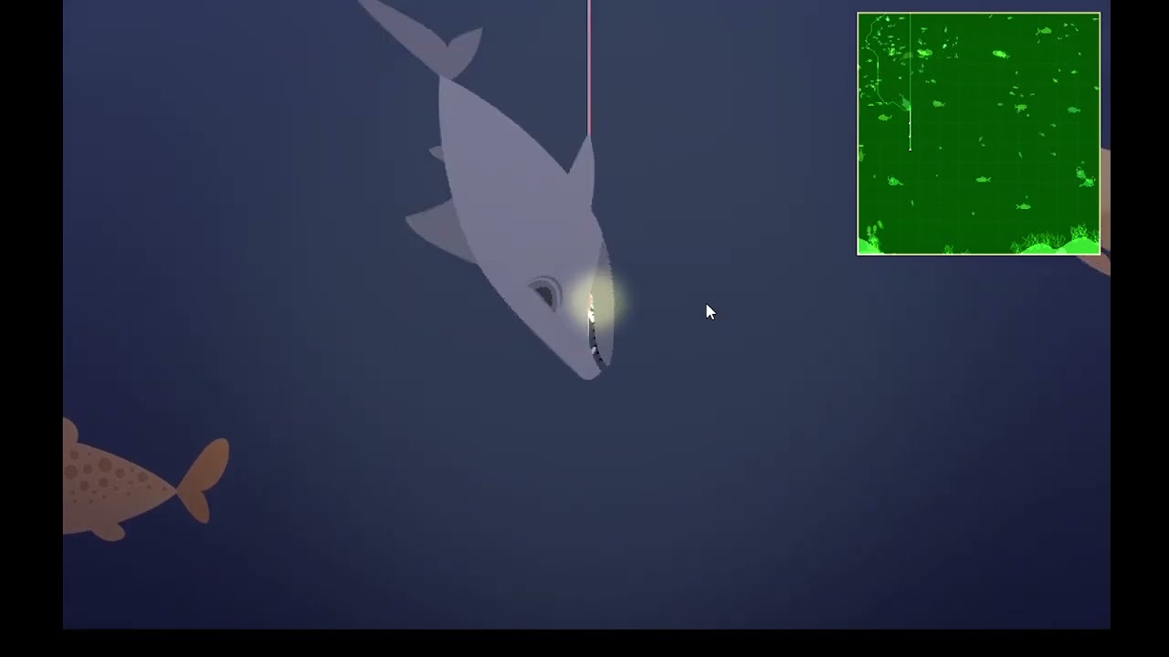 Cat Goes Fishing super droga ryba Shark fish