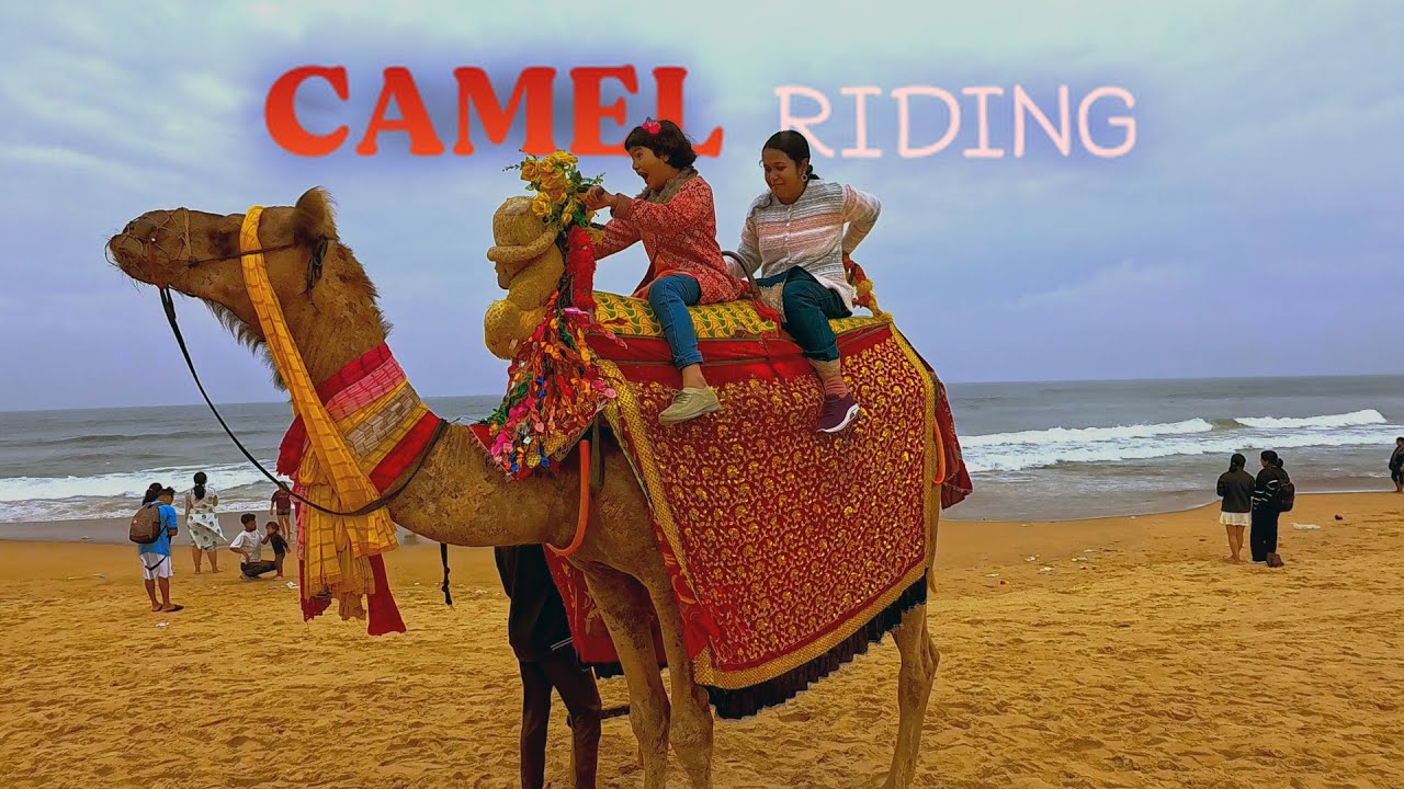 Golden Beach Puri with Family | Sea Bath, Horse & Camel Ride, Local Market Tour | Roaming Routes