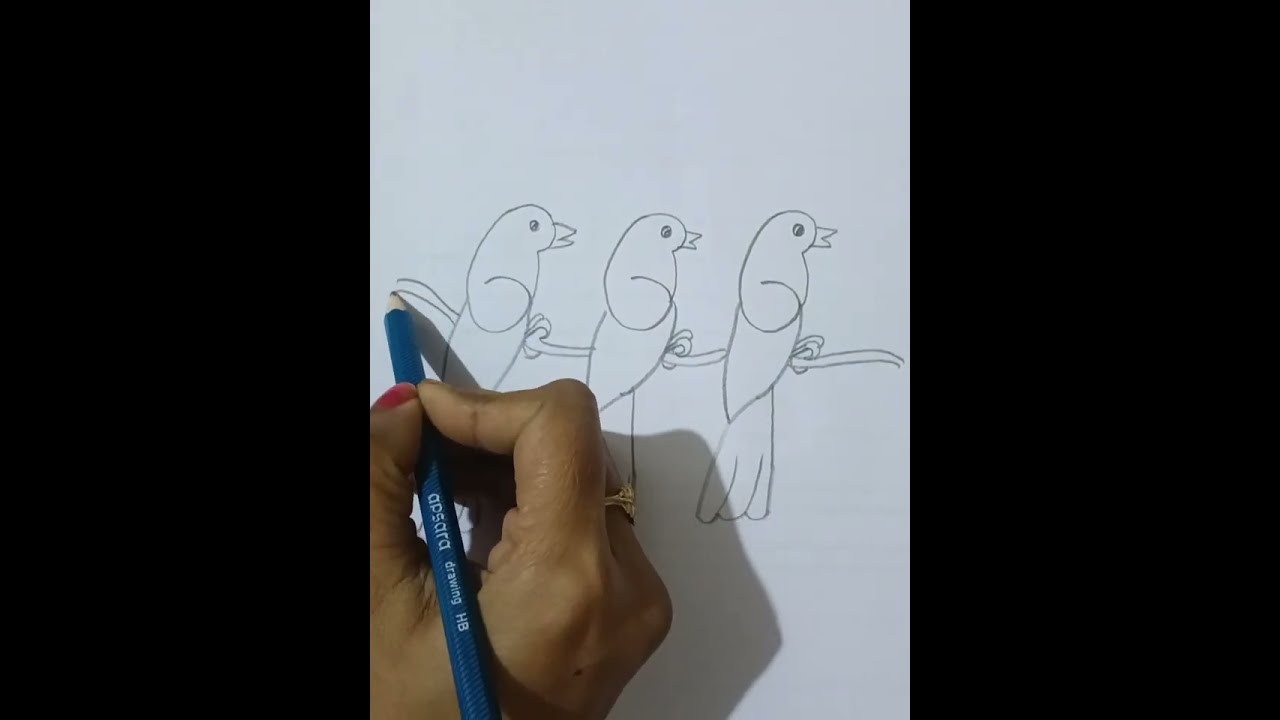 How to draw three bird from 666111 number/Bird Number Drawing Easy 
