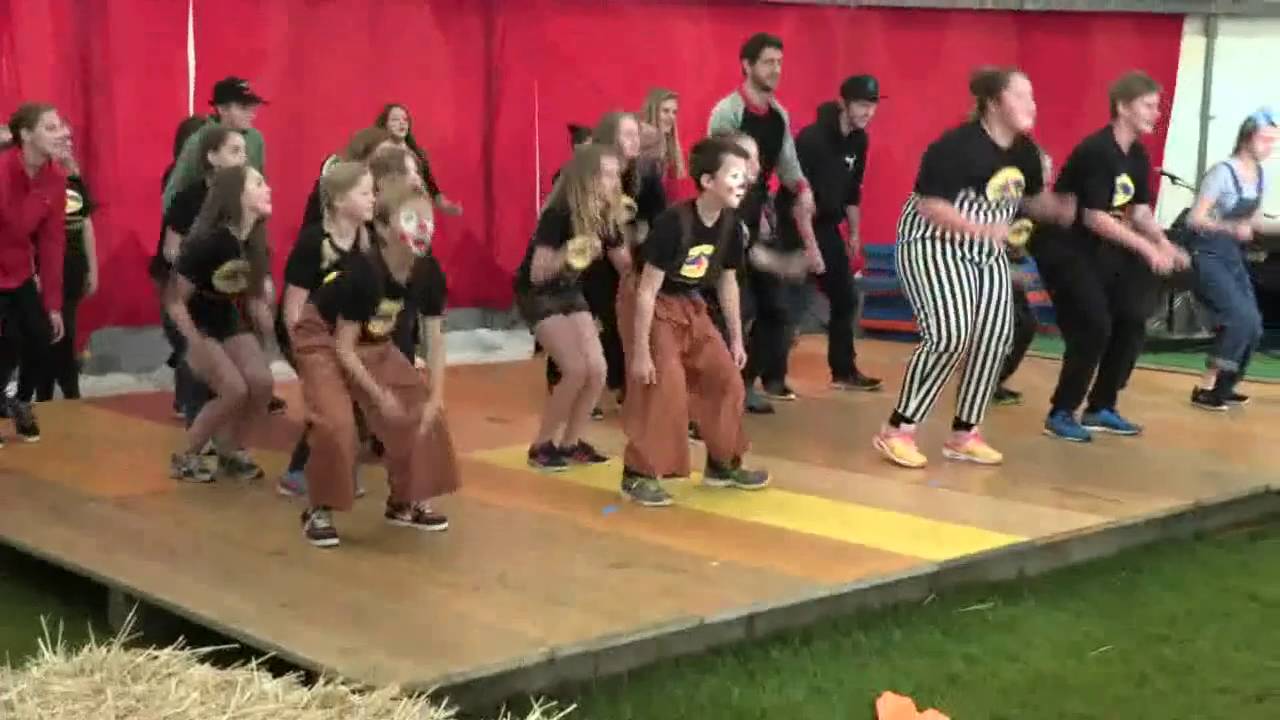 Zirkus Gohlinelli - Schule Gohlgraben - Juni 2016