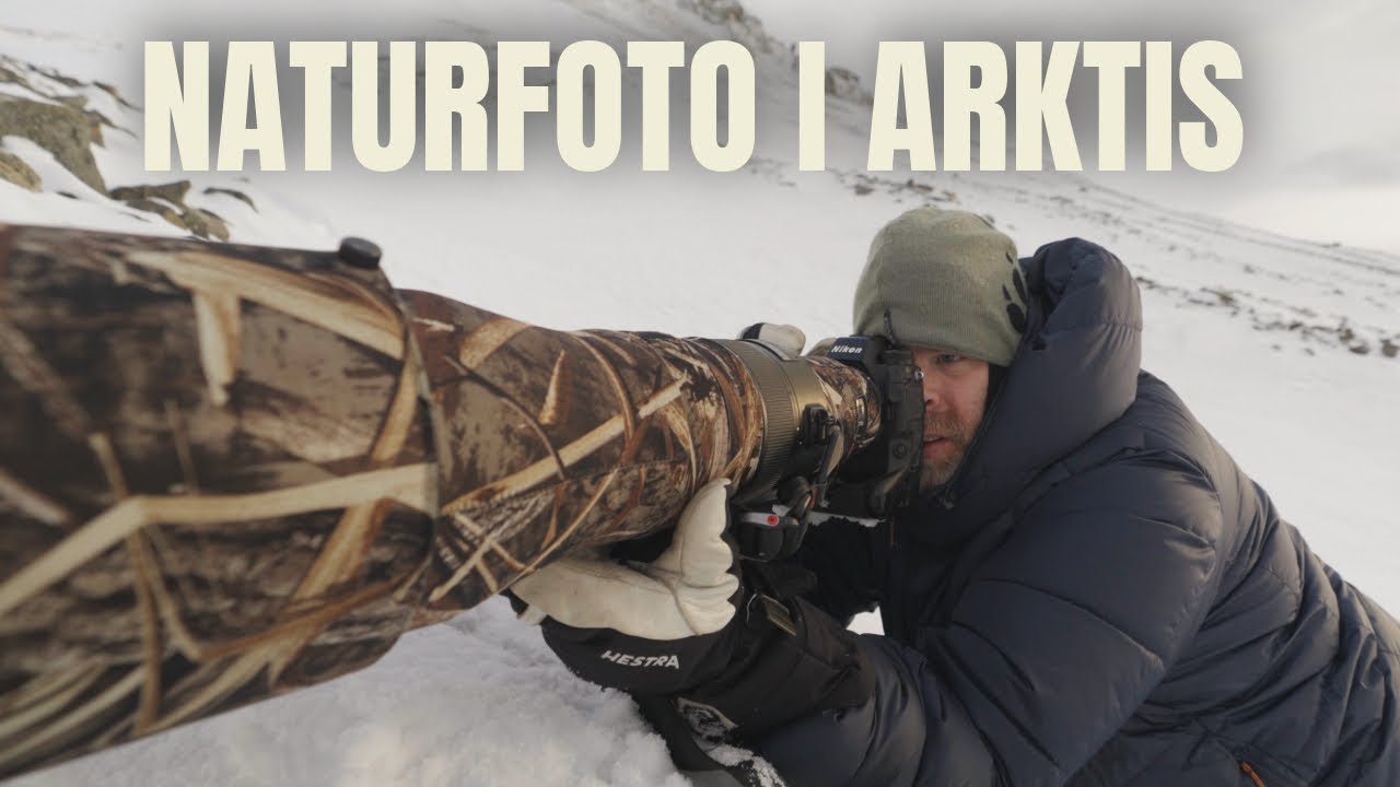 Episke nærmøter med fugler og dyr på Svalbard i snøstorm