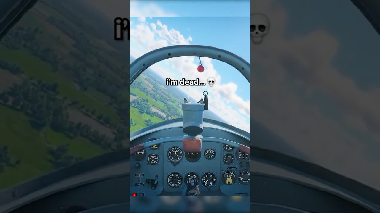 POV: You Got a Tiny Hole in Your Wing in War Thunder