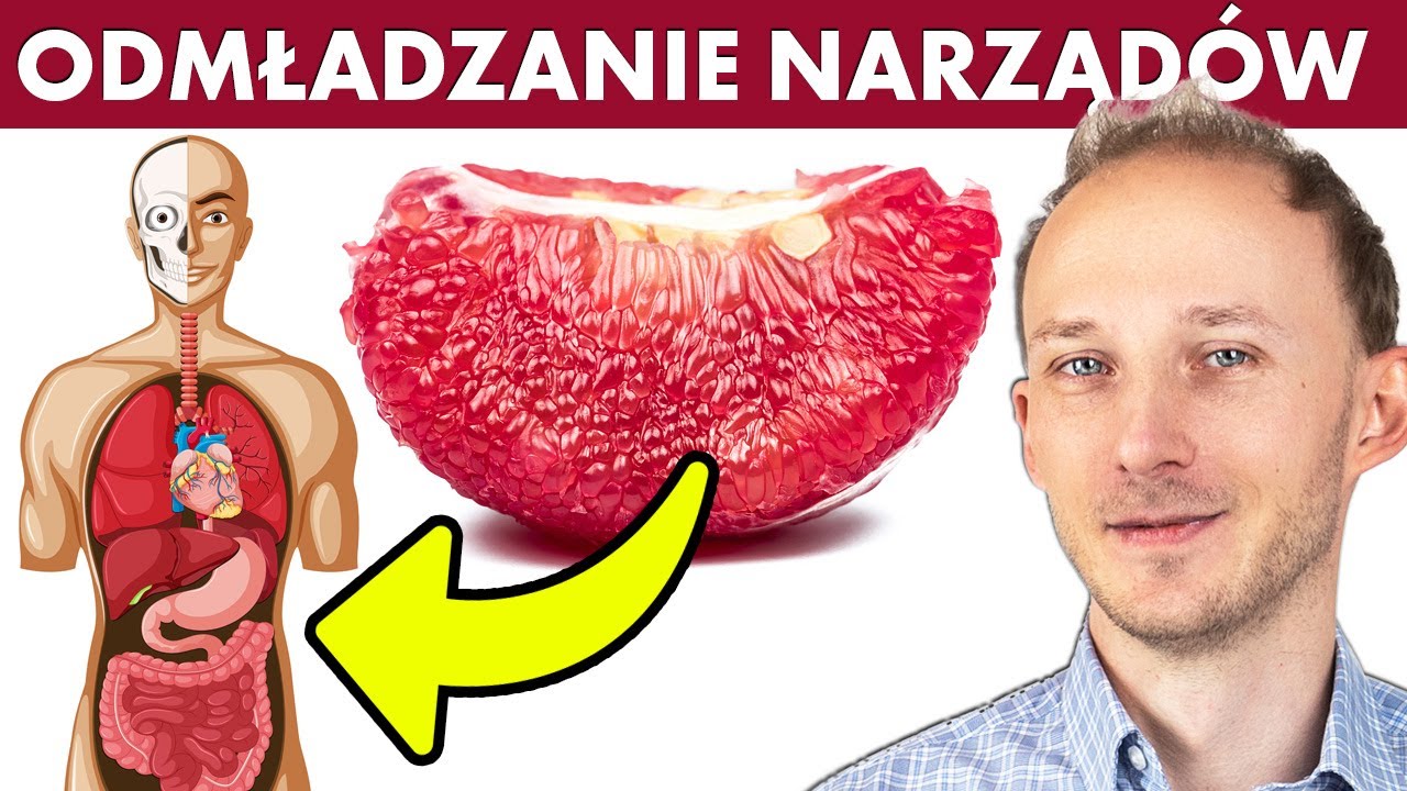 Jak odmłodzić organizm OD WEWNĄTRZ i poprawić zdrowie narządów? 14 produktów | Dr Bartek Kulczyński