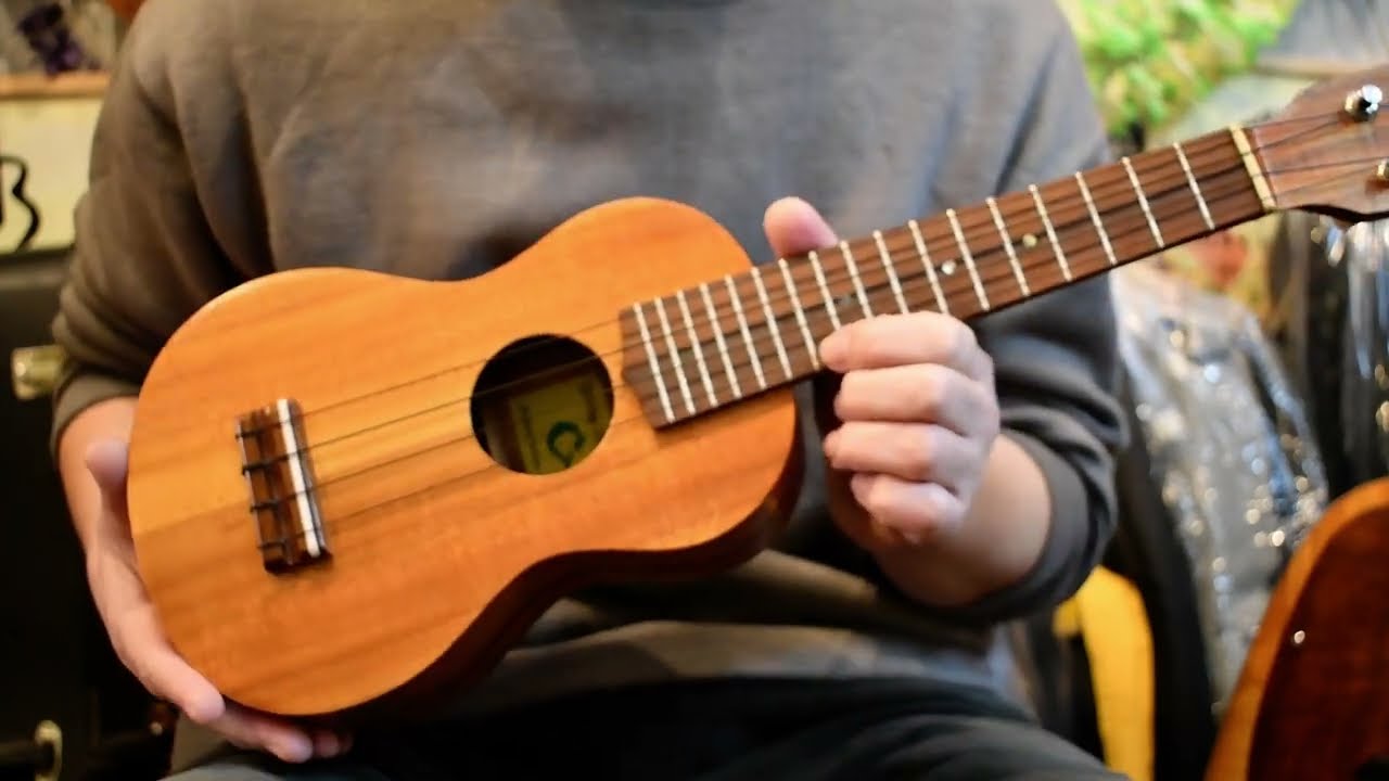 USED/G String Soprano HawaiianKoa【USED】@ukuleleshoptantan