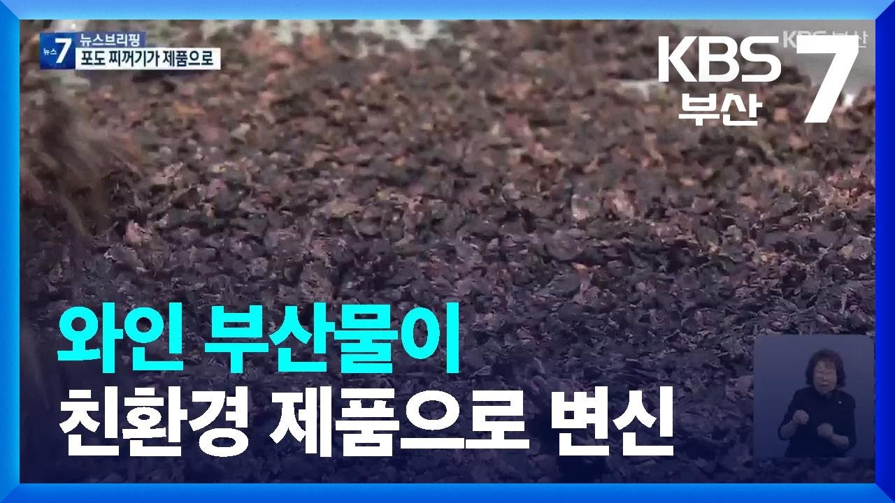 와인 부산물이 친환경 제품으로 변신 / KBS  2023.05.24.
