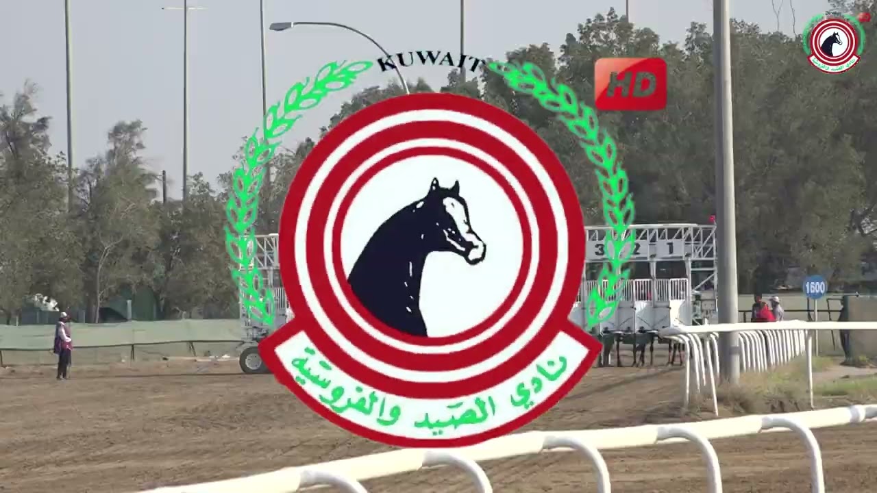 مهرجان سمو الشيخ / منصور بن زايد الشوط (3) الجواد / براق الهيافة /المالك / محمد ال غصين